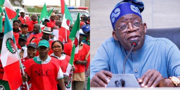 Don’t dare Nigerians by removing fuel subsidy you rejected during Jonathan’s Govt. - NLC to Tinubu