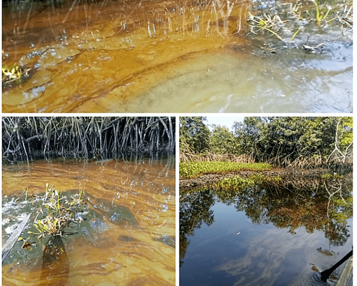 some parts of Egbokodo, affected by oil spill