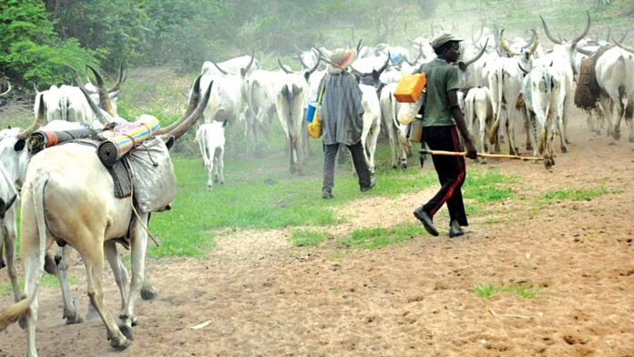 Ndokwa community goes spiritual against herdsmen, issues 48 hours quit notice