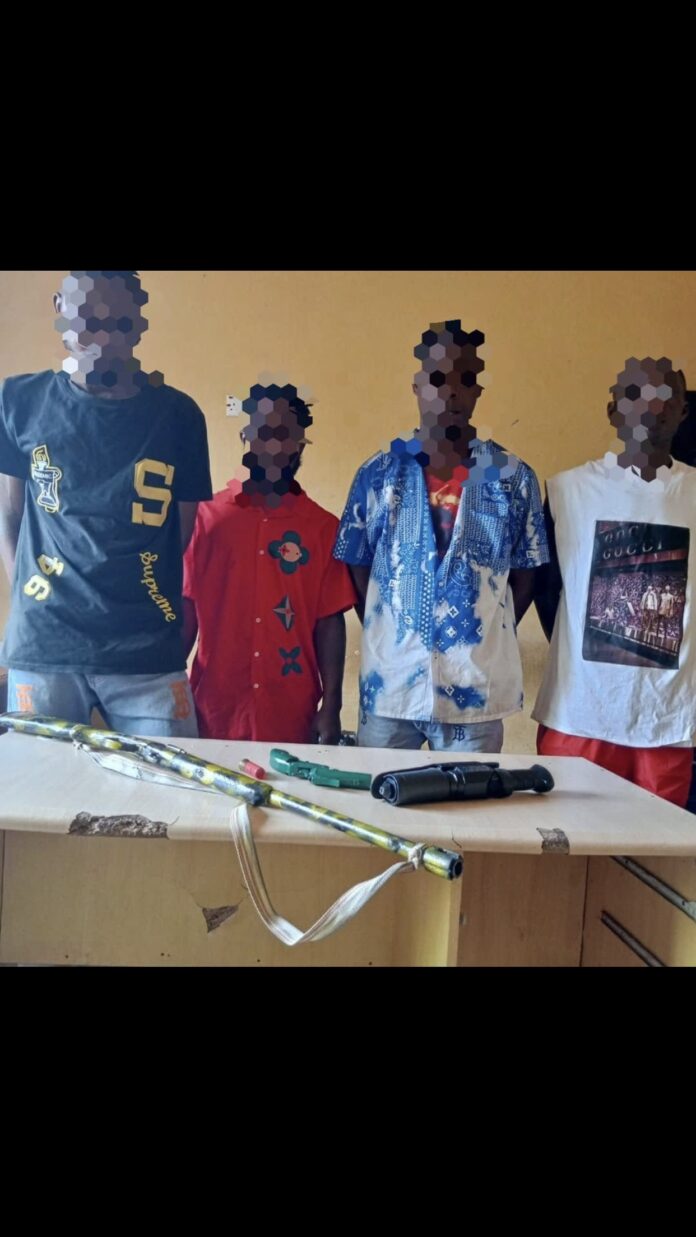 Delta Police arrest kidnapper, armed robber, drug dealer and cultists, recover ammunition