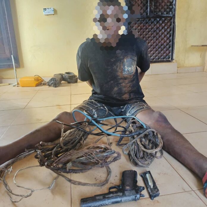 Delta Police Command rescues kidnapped victims in Oghara, arrests armed robbers, cable vandal, recovers ammunition