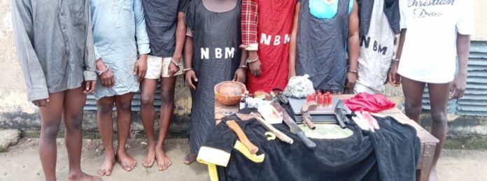 Delta Police Command arrests suspected cultists, recovers ammunition, charms