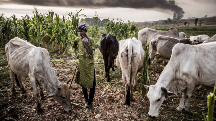 Women from Ekakpamre community in Ughelli South protest herdsmen attacks