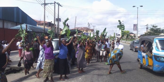 Frozen foods retailers in Warri, Uvwie protest over high cost of products