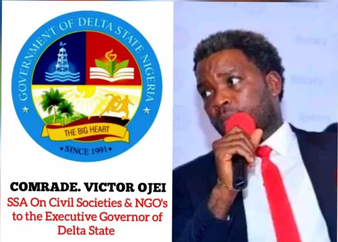 Delta govt says it will not tolerate fraudulent CSOs, NGOs