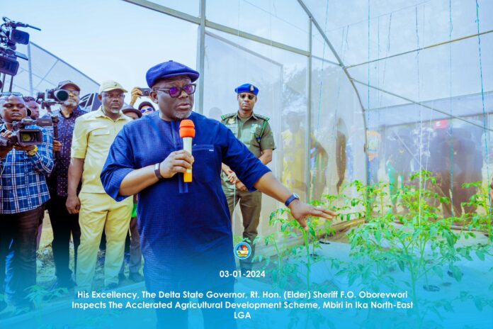 Oborevwori moves to boost food production in Delta